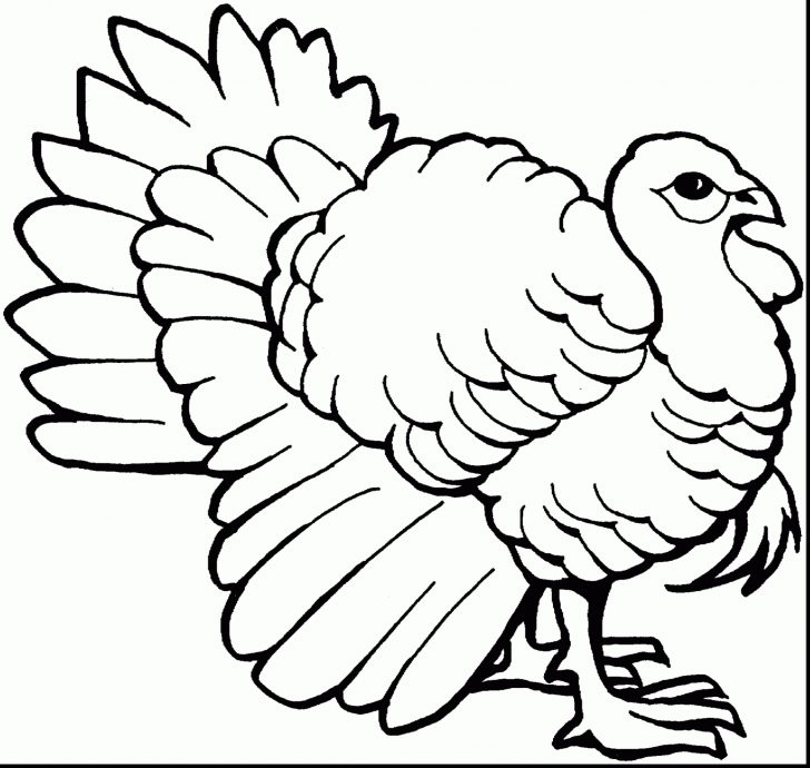 Free Printable Thanksgiving Coloring Pages Coloring Page Coloring Happy Thanksgiving Books For Adults Free Printable Thanksgiving Coloring Pages Coloring Page Coloring Happy Thanksgiving Books For Adults