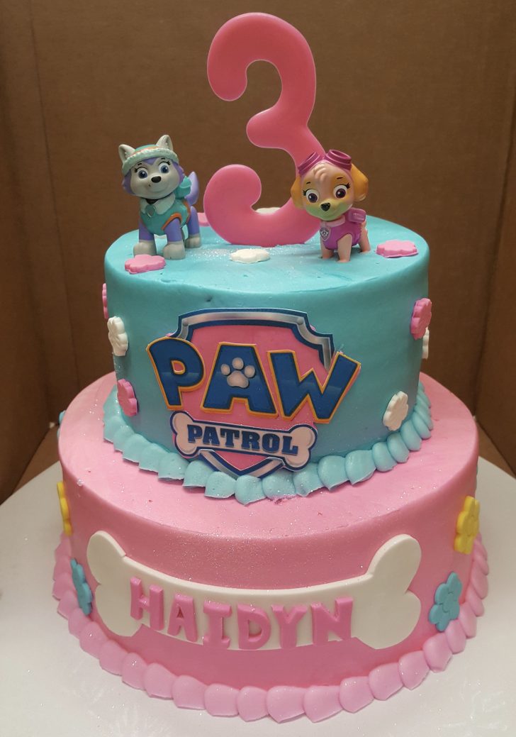 Girls Birthday Cake Calumet Bakery Girls Paw Patrol Cake Girls Decorated Cakes Paw Girls Birthday Cake Calumet Bakery Girls Paw Patrol Cake Girls Decorated Cakes Paw