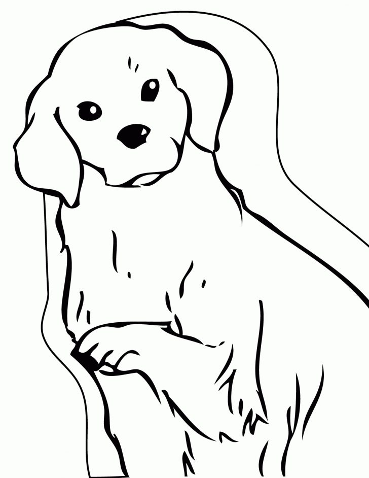 Golden Retriever Coloring Page 27 Golden Retriever Coloring Page Printable Free Coloring Pages Golden Retriever Coloring Page 27 Golden Retriever Coloring Page Printable Free Coloring Pages