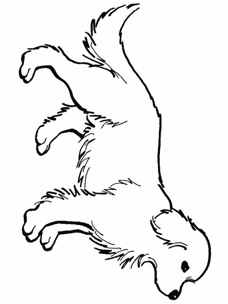 Golden Retriever Coloring Page 7 Pics Of Dogs Golden Retriever Coloring Pages Realistic Golden Golden Retriever Coloring Page 7 Pics Of Dogs Golden Retriever Coloring Pages Realistic Golden