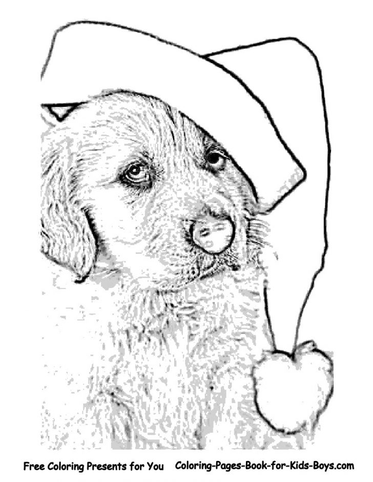 Golden Retriever Coloring Page Golden Retriever Coloring Page Elegant Golden Retriever Malvorlagen Golden Retriever Coloring Page Golden Retriever Coloring Page Elegant Golden Retriever Malvorlagen