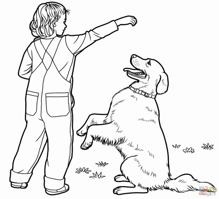 Golden Retriever Coloring Page Golden Retriever Coloring Pages Babbleedition Golden Retriever Coloring Page Golden Retriever Coloring Pages Babbleedition