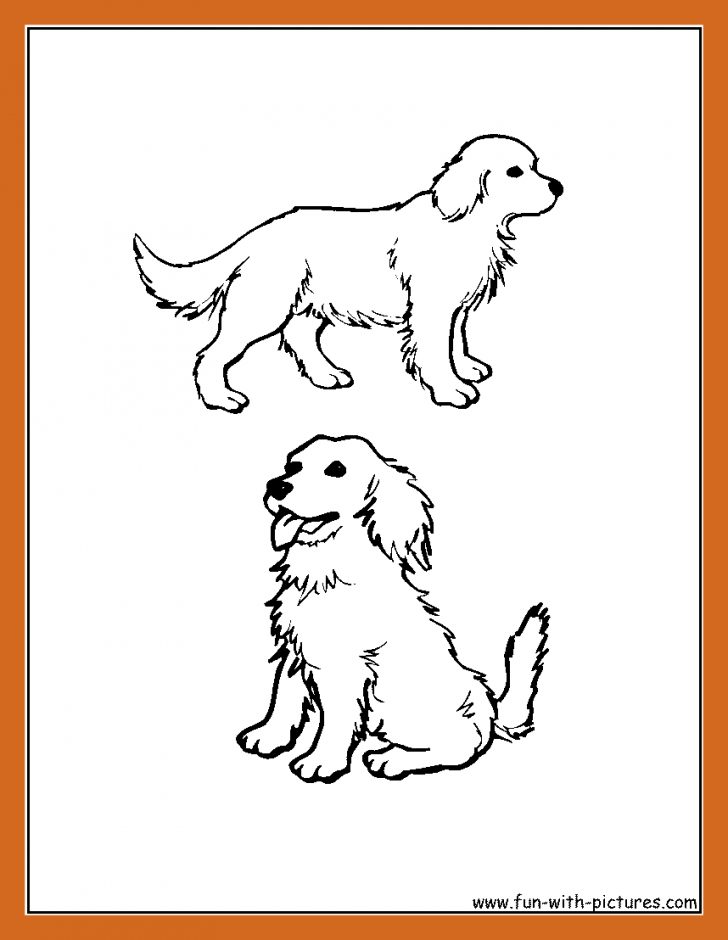 Golden Retriever Coloring Page Golden Retriever Coloring Pages Bitslice Golden Retriever Coloring Page Golden Retriever Coloring Pages Bitslice
