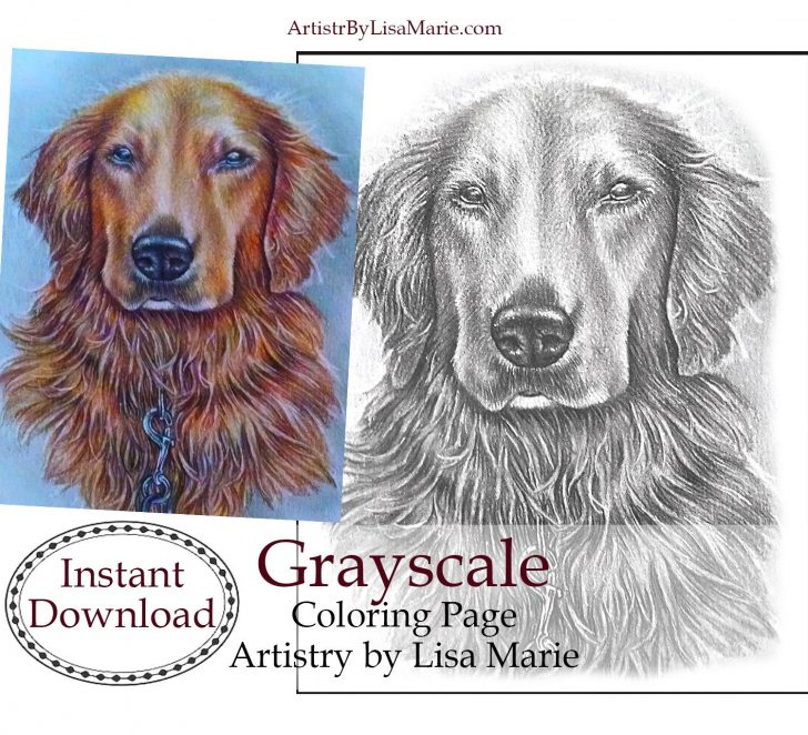 Golden Retriever Coloring Page Golden Retriever Grayscale Printable Coloring Page Instant Etsy Golden Retriever Coloring Page Golden Retriever Grayscale Printable Coloring Page Instant Etsy
