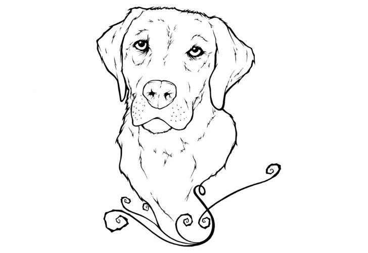 Golden Retriever Coloring Page Golden Retriever Puppies Coloring Pages Home Fresh Design Best Golden Retriever Coloring Page Golden Retriever Puppies Coloring Pages Home Fresh Design Best