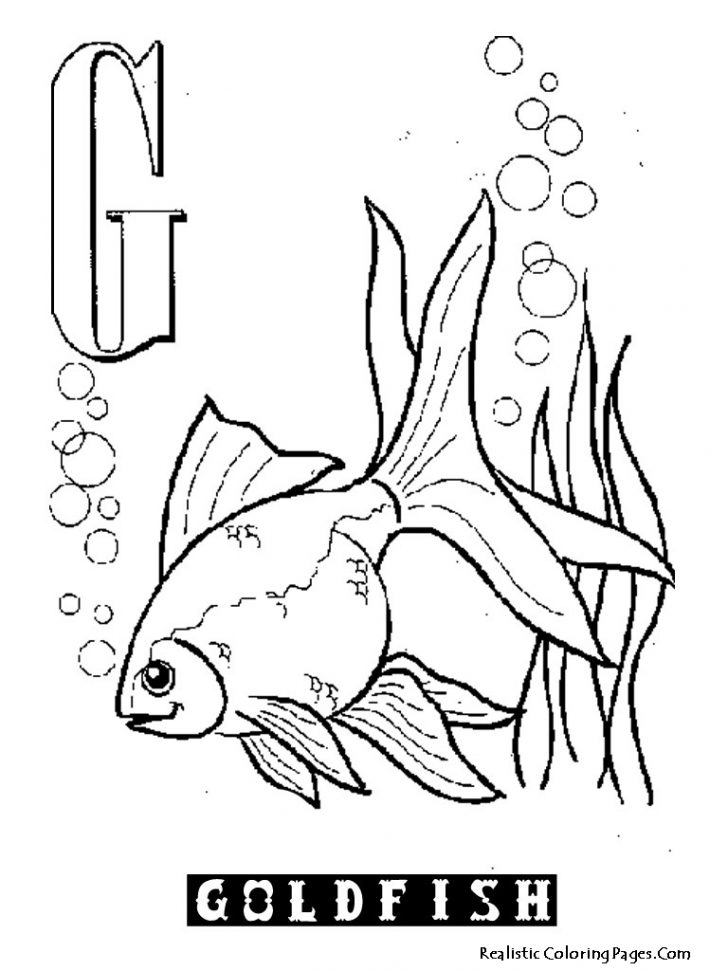 Goldfish Coloring Page G Is For Goldfish Coloring Page Printable Educations For Kids Goldfish Coloring Page G Is For Goldfish Coloring Page Printable Educations For Kids