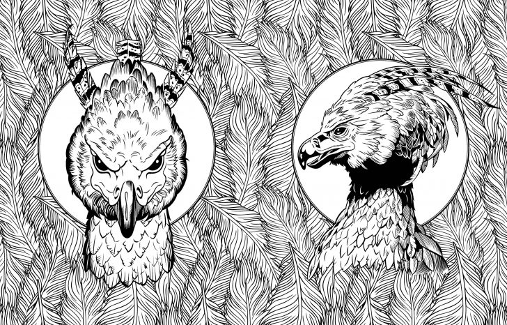 Harry Potter Coloring Pages Beatrix Potter Coloring Pages Fresh Harry Potter Magical Creatures Harry Potter Coloring Pages Beatrix Potter Coloring Pages Fresh Harry Potter Magical Creatures