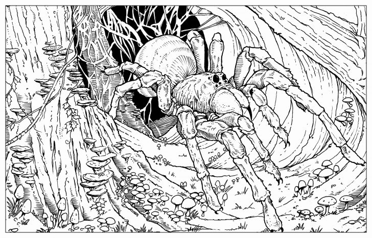 Harry Potter Coloring Pages Harry Potter Coloring Pages Hogwarts At Getcolorings Free Harry Potter Coloring Pages Harry Potter Coloring Pages Hogwarts At Getcolorings Free