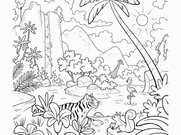 Jungle Coloring Pages Drawn Rainforest Color 5 1024 X 768 Dumielauxepicesnet For Jungle Jungle Coloring Pages Drawn Rainforest Color 5 1024 X 768 Dumielauxepicesnet For Jungle