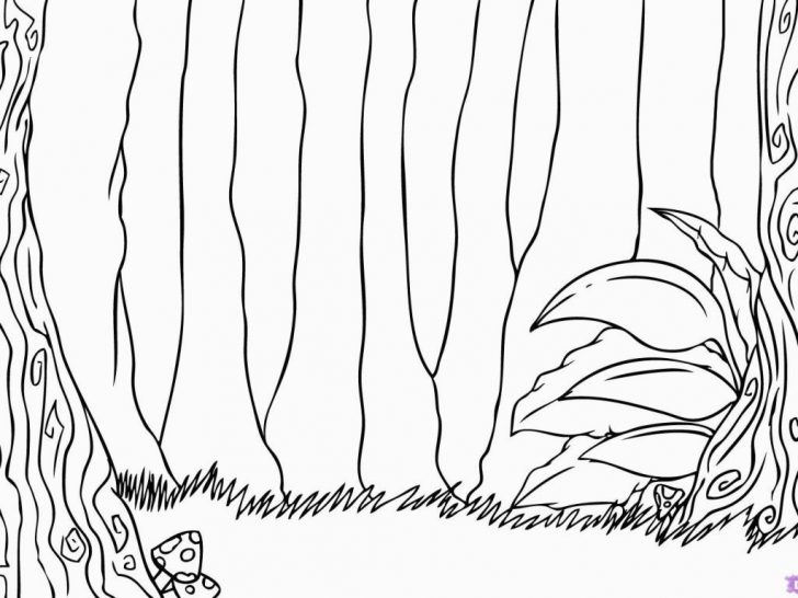 Jungle Coloring Pages Forest Coloring Pages For Adults At Getcolorings Free Pr For Jungle Jungle Coloring Pages Forest Coloring Pages For Adults At Getcolorings Free Pr For Jungle