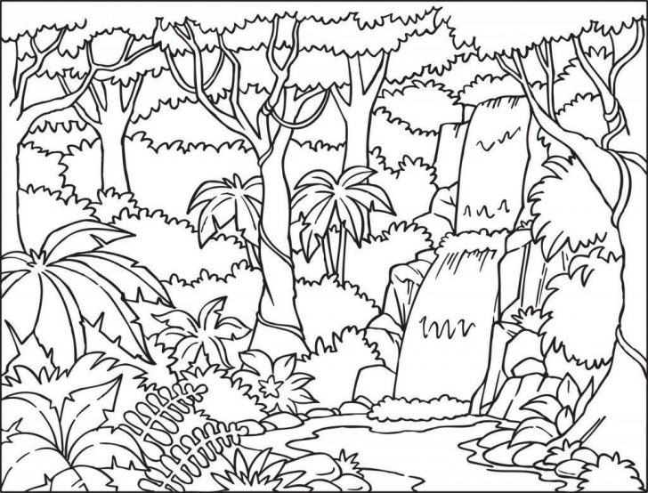 Jungle Coloring Pages Jungle Coloring Pages Jungle Coloring Pages Jungle Coloring Pages
