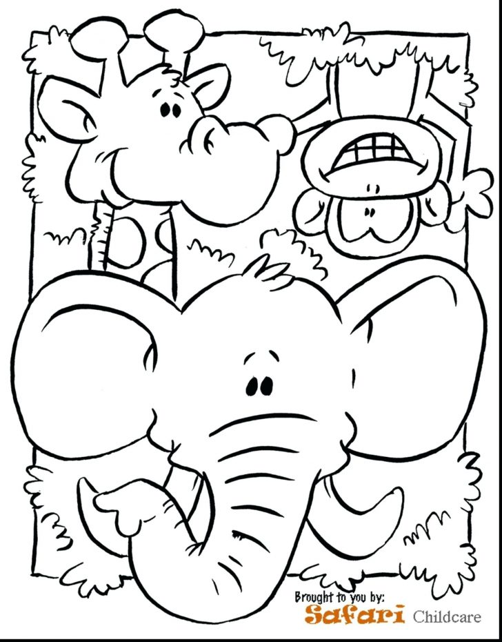 Jungle Coloring Pages Rainforest Animal Coloring Book New Jungle Coloring Pages Valid Jungle Coloring Pages Rainforest Animal Coloring Book New Jungle Coloring Pages Valid