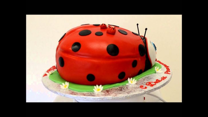 Ladybug Birthday Cake Lady Bug Cake Presentation Custom Cake Ladybug Birthday Cake Ladybug Birthday Cake Lady Bug Cake Presentation Custom Cake Ladybug Birthday Cake