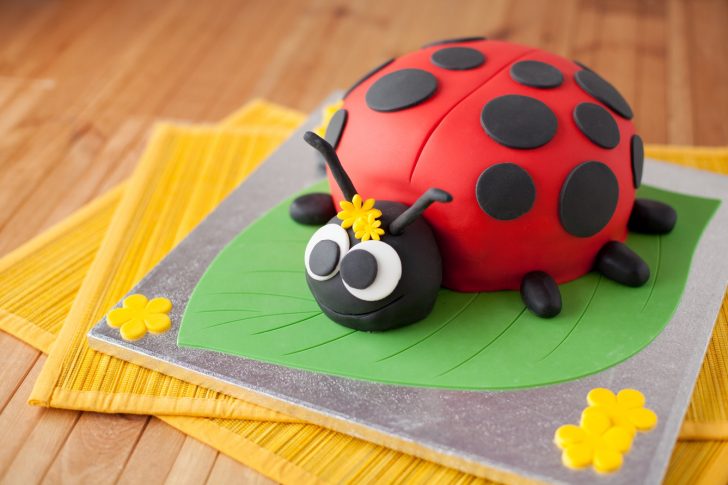 Ladybug Birthday Cake Ladybird Birthday Cake Ilovecooking Ladybug Birthday Cake Ladybird Birthday Cake Ilovecooking