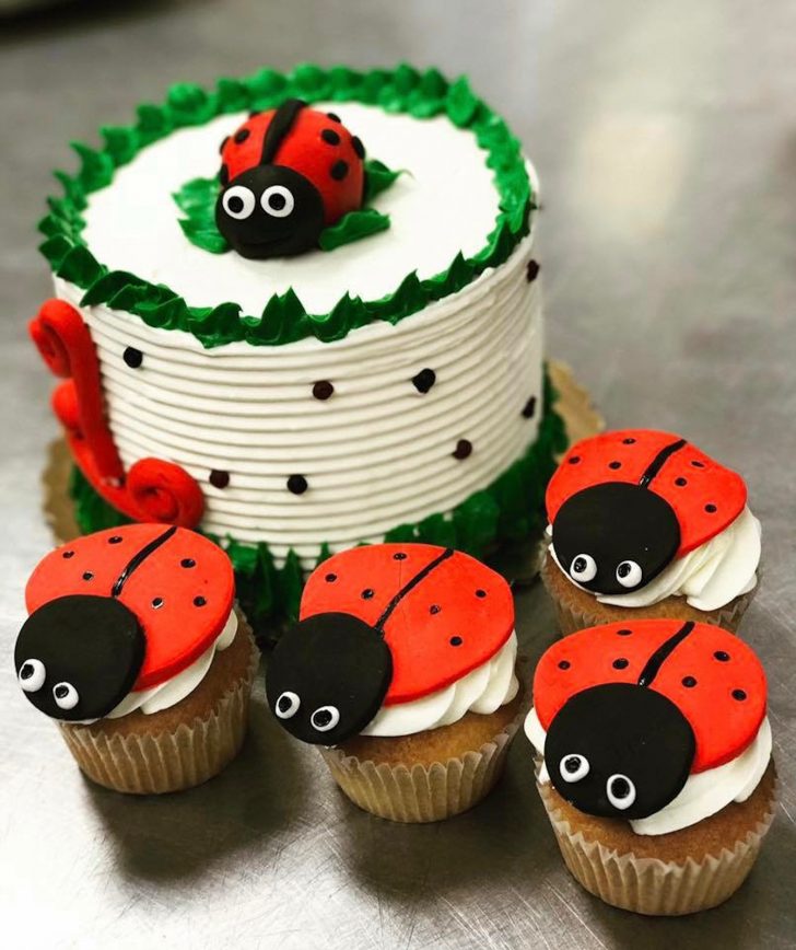 Ladybug Birthday Cake Ladybug Birthday Cake Ladybug Birthday Cake Ladybug Birthday Cake