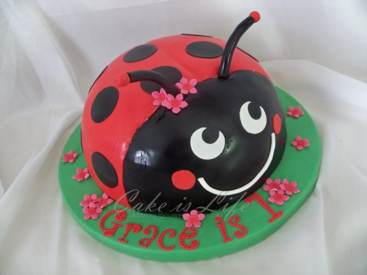 Ladybug Birthday Cake Ladybug Birthday Cake Cake Is Life Ladybug Birthday Cake Ladybug Birthday Cake Cake Is Life