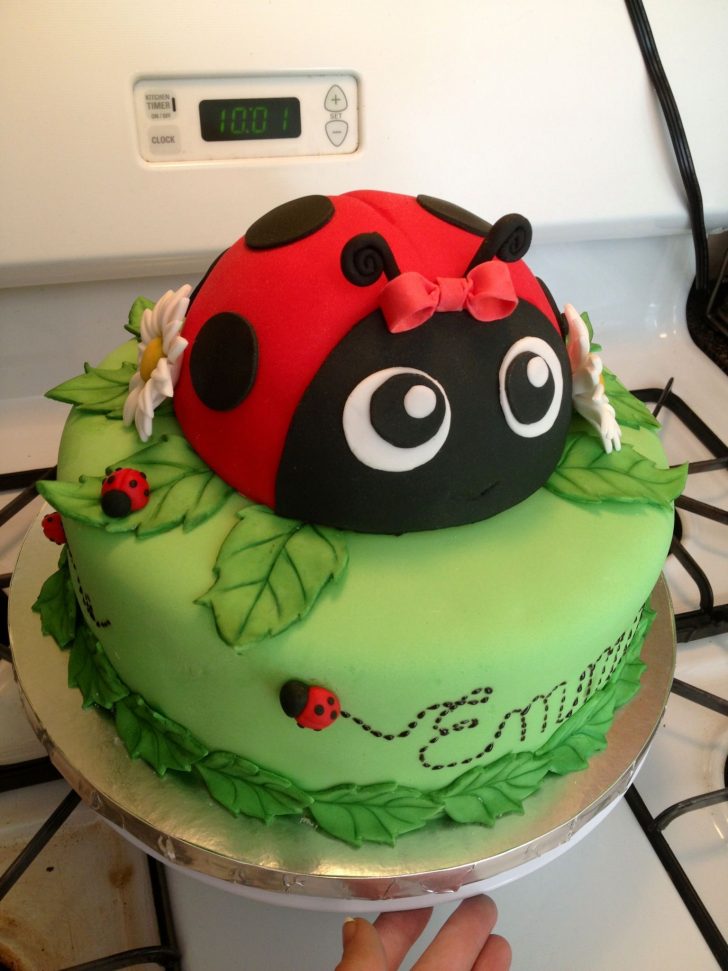 Ladybug Birthday Cake Ladybug Birthday Cake Wwwfacebookcakesomethingsweet Ladybug Birthday Cake Ladybug Birthday Cake Wwwfacebookcakesomethingsweet