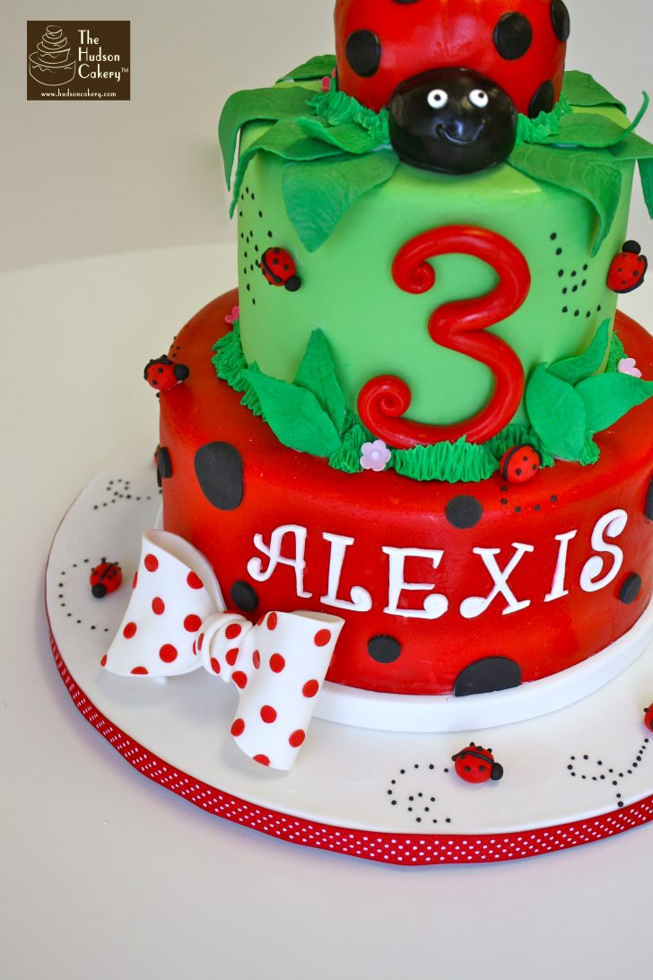 Ladybug Birthday Cake Ladybug Cake Birthday The Hudson Cakery Ladybug Birthday Cake Ladybug Cake Birthday The Hudson Cakery