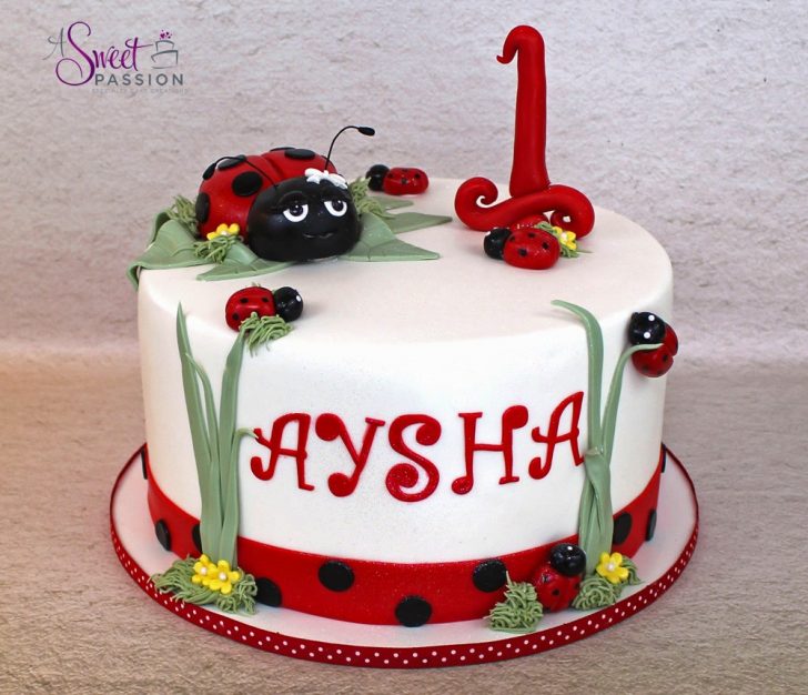 Ladybug Birthday Cake Ladybug Cake Sweet Passion Cakery Ladybug Birthday Cake Ladybug Cake Sweet Passion Cakery