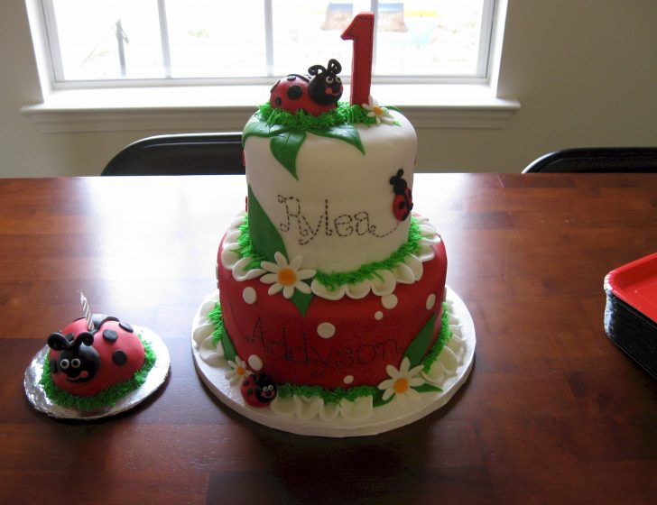 Ladybug Birthday Cake Ladybug Cakes Decoration Ideas Little Birthday Cakes Ladybug Birthday Cake Ladybug Cakes Decoration Ideas Little Birthday Cakes