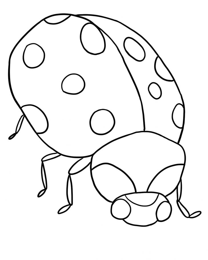 Ladybug Coloring Page Free Ladybug Coloring Page Lb4 Ladybug Coloring Page Free Ladybug Coloring Page Lb4