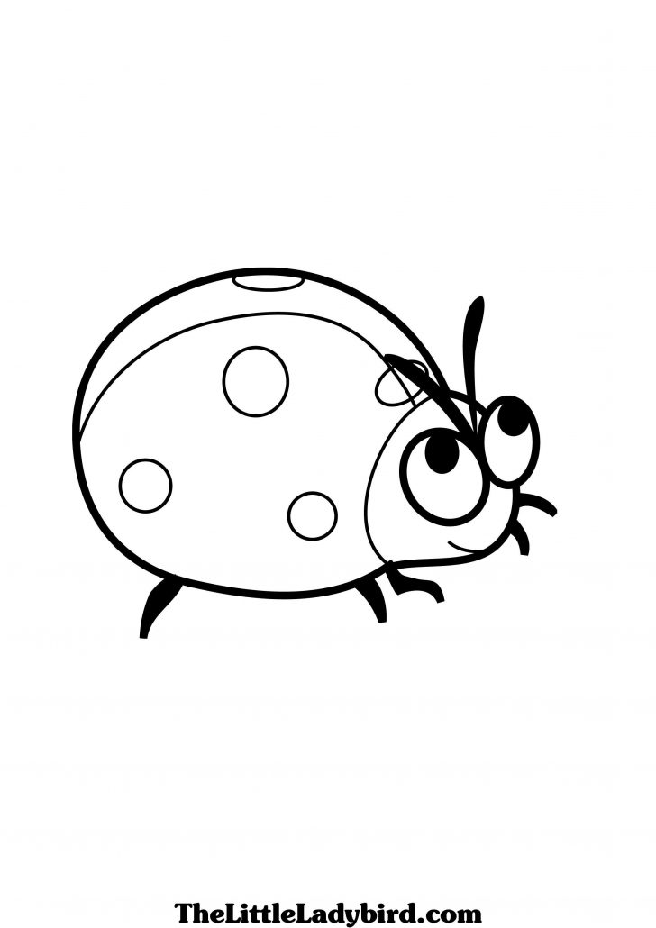Ladybug Coloring Page Free Ladybug Coloring Page Thelittleladybird Ladybug Coloring Page Free Ladybug Coloring Page Thelittleladybird