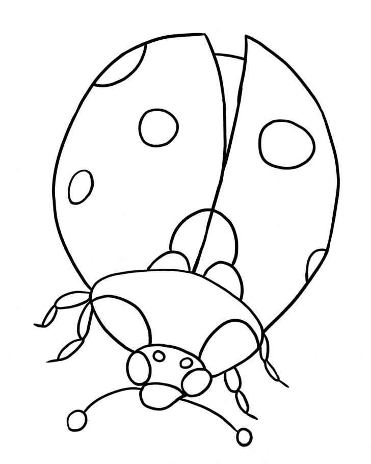 Ladybug Coloring Page Free Ladybug Coloring Pages To Print Out And Color Ladybug Coloring Page Free Ladybug Coloring Pages To Print Out And Color