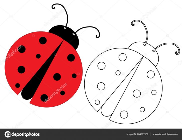 Ladybug Coloring Page Ladybug Coloring Page Game Kids Vector Illustration Stock Vector Ladybug Coloring Page Ladybug Coloring Page Game Kids Vector Illustration Stock Vector
