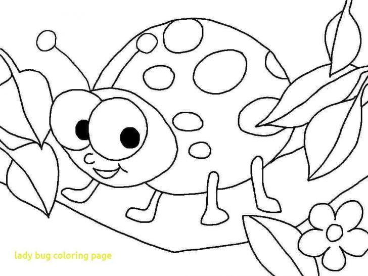 Ladybug Coloring Page Ladybug Coloring Page Unique Ladybug Coloring Pages Printable Ladybug Coloring Page Ladybug Coloring Page Unique Ladybug Coloring Pages Printable