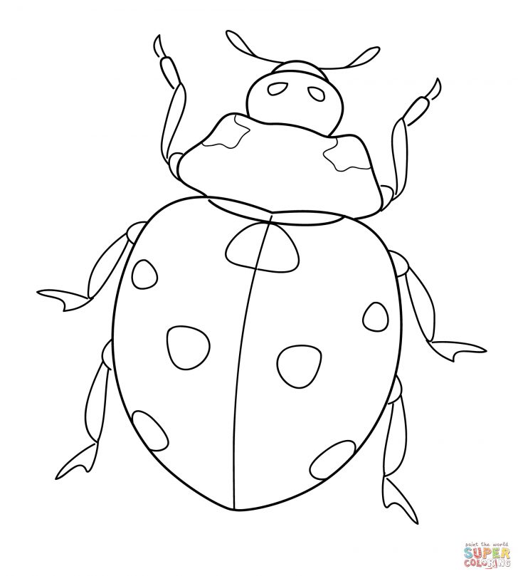 Ladybug Coloring Page Ladybug Coloring Pages Free Coloring Pages Ladybug Coloring Page Ladybug Coloring Pages Free Coloring Pages