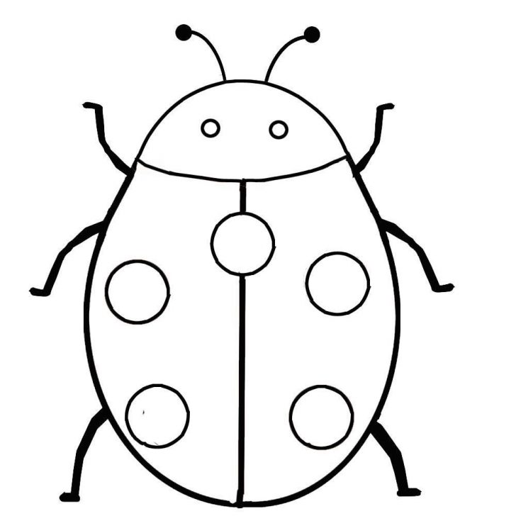 Ladybug Coloring Page Ladybug Coloring Sheet Kleobergdorfbibco Ladybug Coloring Page Ladybug Coloring Sheet Kleobergdorfbibco