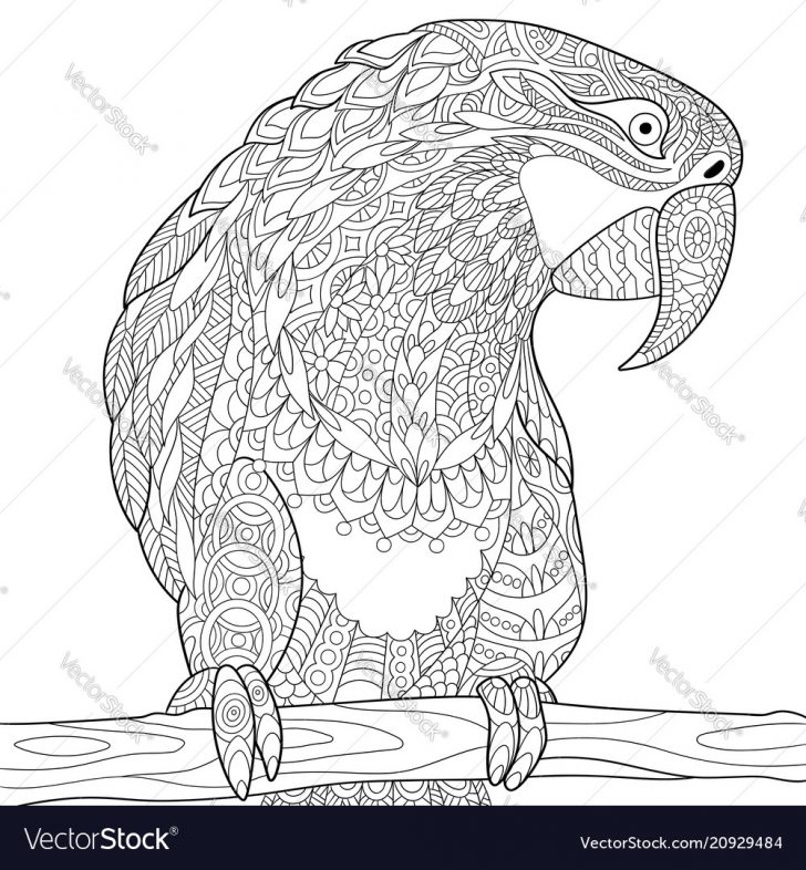 Parrot Coloring Pages Macaw Parrot Coloring Page Royalty Free Vector Image Parrot Coloring Pages Macaw Parrot Coloring Page Royalty Free Vector Image