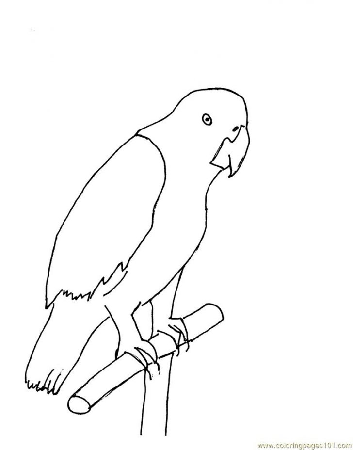 Parrot Coloring Pages Parrot Coloring Page Free Parrots Coloring Pages Parrot Coloring Pages Parrot Coloring Page Free Parrots Coloring Pages