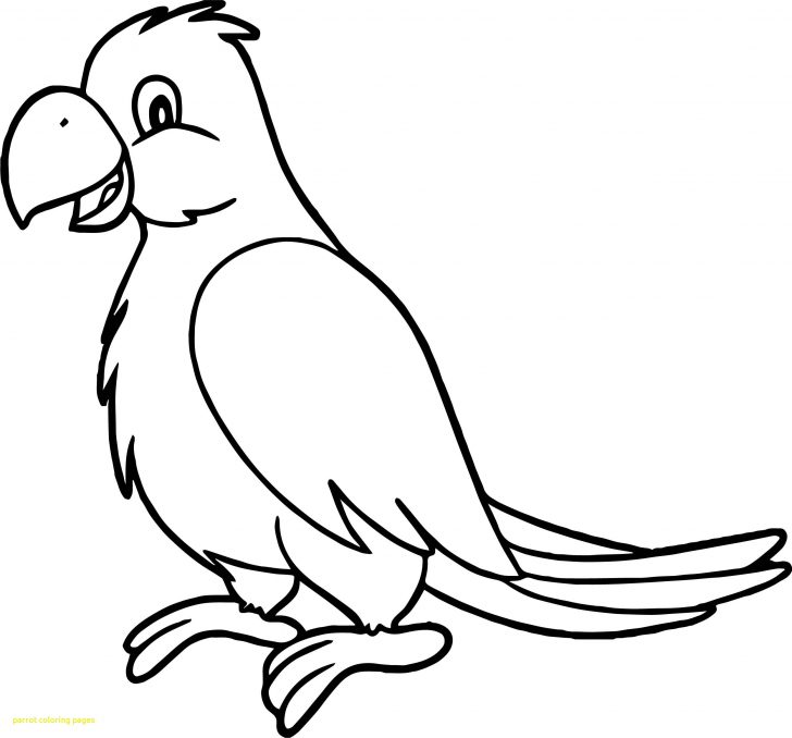 Parrot Coloring Pages Parrot Coloring Page Zoloftonline Buy Parrot Coloring Pages Parrot Coloring Page Zoloftonline Buy
