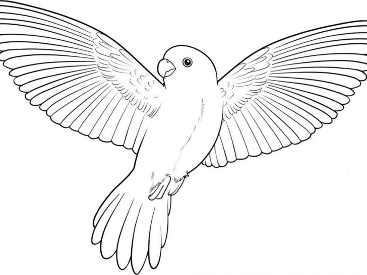 Parrot Coloring Pages Unforgettable Parrot Coloring Pages Flying Birds Colouring Online Parrot Coloring Pages Unforgettable Parrot Coloring Pages Flying Birds Colouring Online