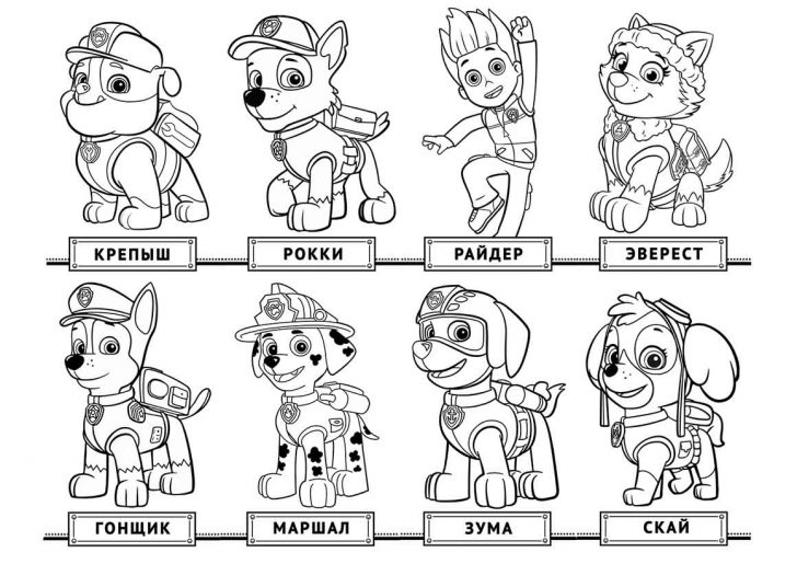 Paw Patrol Coloring Pages Paw Patrol Free Coloring Pages Free Printable Paw Patrol Coloring Paw Patrol Coloring Pages Paw Patrol Free Coloring Pages Free Printable Paw Patrol Coloring