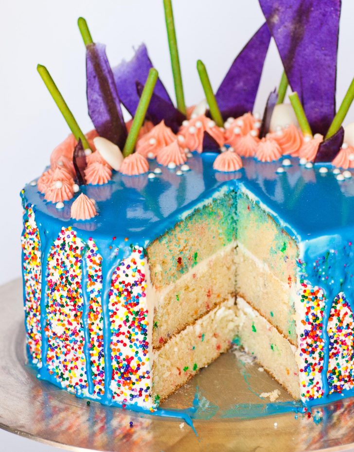 Pictures Of Birthday Cake Birthday Cake The Ultimate Cake Creation Tatyanas Everyday Food Pictures Of Birthday Cake Birthday Cake The Ultimate Cake Creation Tatyanas Everyday Food