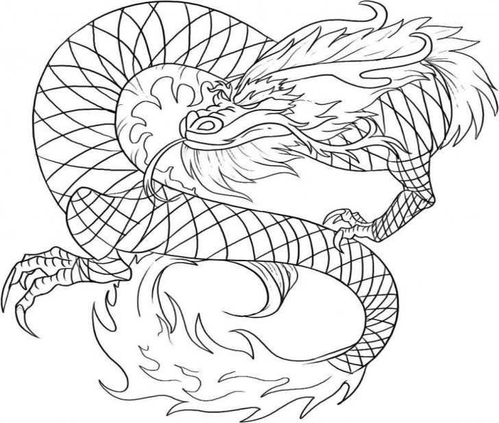Printable Dragon Coloring Pages Dragon Coloring Pages How To Train Your Free Ball Super Printable Printable Dragon Coloring Pages Dragon Coloring Pages How To Train Your Free Ball Super Printable