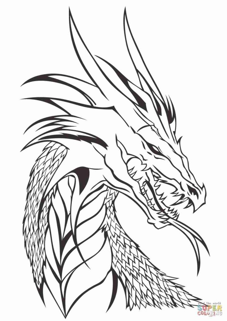Printable Dragon Coloring Pages Dragon Coloring Sheets Realistic Fattkay Stirring Pages Water Free Printable Dragon Coloring Pages Dragon Coloring Sheets Realistic Fattkay Stirring Pages Water Free