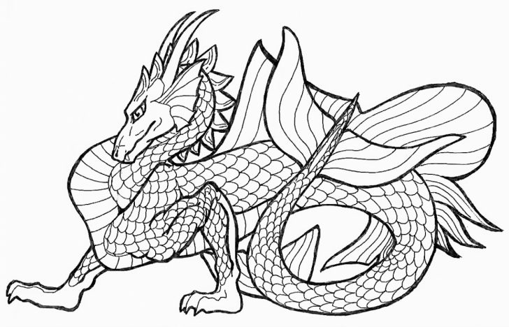 Printable Dragon Coloring Pages Free Printable Dragon Coloring Pages For Kids Printable Dragon Coloring Pages Free Printable Dragon Coloring Pages For Kids