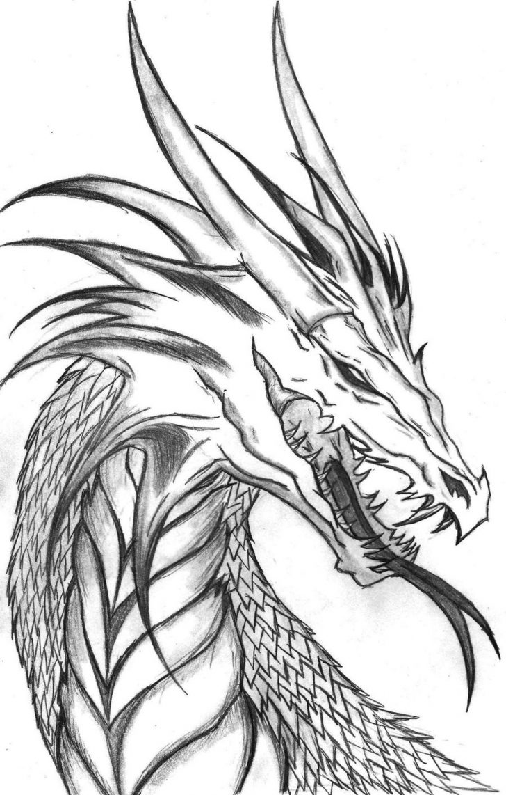 Printable Dragon Coloring Pages Realistic Wateron Coloring Pages Free Printable For Adults Only Printable Dragon Coloring Pages Realistic Wateron Coloring Pages Free Printable For Adults Only