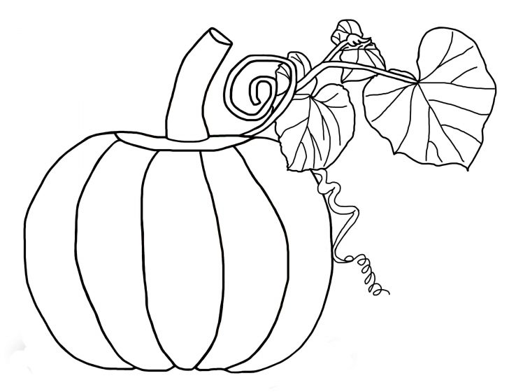 Printable Pumpkin Coloring Pages Free Pumpkin Coloring Pages For Kids Printable Pumpkin Coloring Pages Free Pumpkin Coloring Pages For Kids