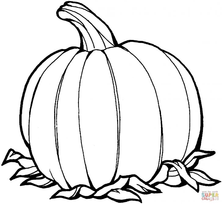 Printable Pumpkin Coloring Pages Pumpkin Coloring Page Free Printable Coloring Pages Printable Pumpkin Coloring Pages Pumpkin Coloring Page Free Printable Coloring Pages