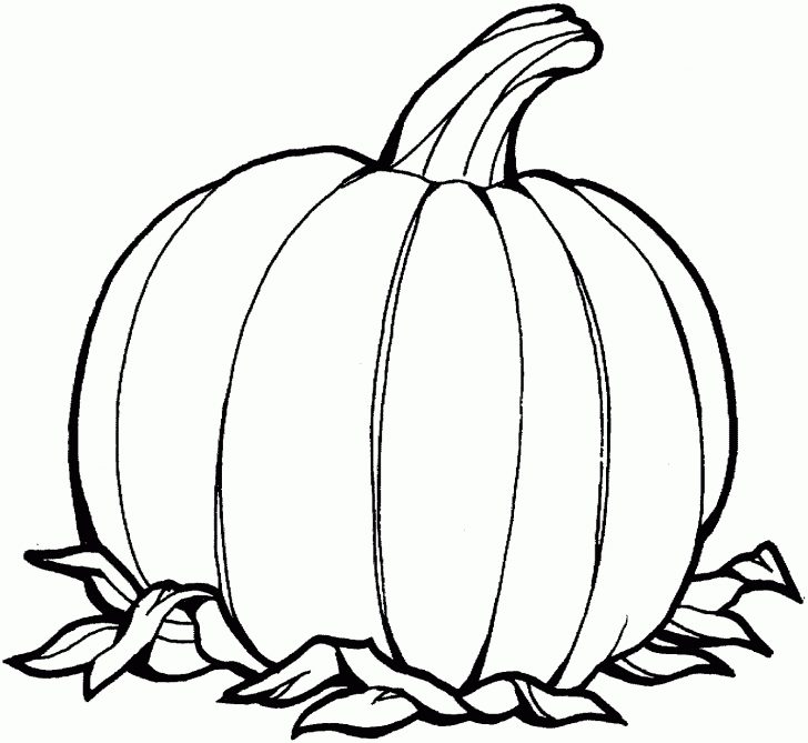 Printable Pumpkin Coloring Pages Pumpkin Coloring Pages 3jlp Free Printable Pumpkin Coloring Pages Printable Pumpkin Coloring Pages Pumpkin Coloring Pages 3jlp Free Printable Pumpkin Coloring Pages
