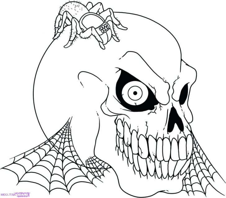 Skeleton Coloring Pages Human Head Coloring Pages At Getdrawings Free For Personal Use Skeleton Coloring Pages Human Head Coloring Pages At Getdrawings Free For Personal Use