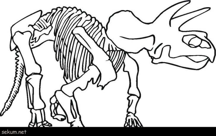 Skeleton Coloring Pages Skeleton Coloring Pages For Preschoolers Fresh Dinosaur Skeleton Skeleton Coloring Pages Skeleton Coloring Pages For Preschoolers Fresh Dinosaur Skeleton