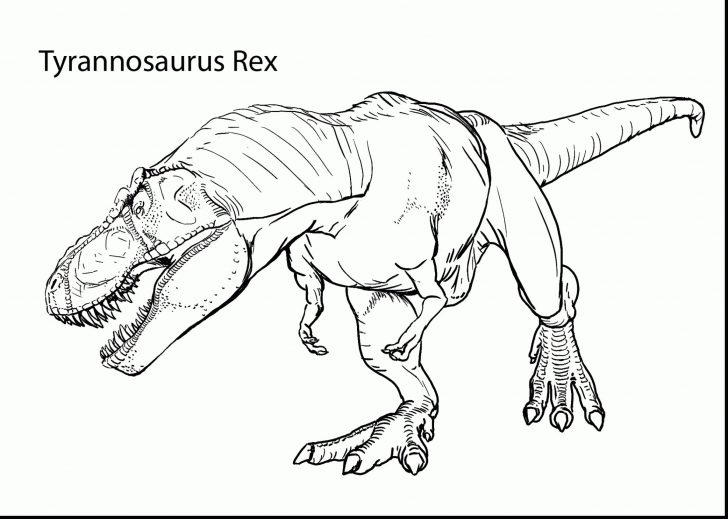 Skeleton Coloring Pages Tyrannosaurus Rex Coloring Page Skeleton Coloring Pages For Skeleton Coloring Pages Tyrannosaurus Rex Coloring Page Skeleton Coloring Pages For