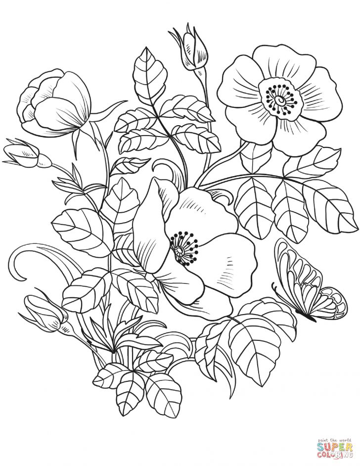 Spring Flowers Coloring Pages Spring Flowers Coloring Page Free Printable Coloring Pages Spring Flowers Coloring Pages Spring Flowers Coloring Page Free Printable Coloring Pages