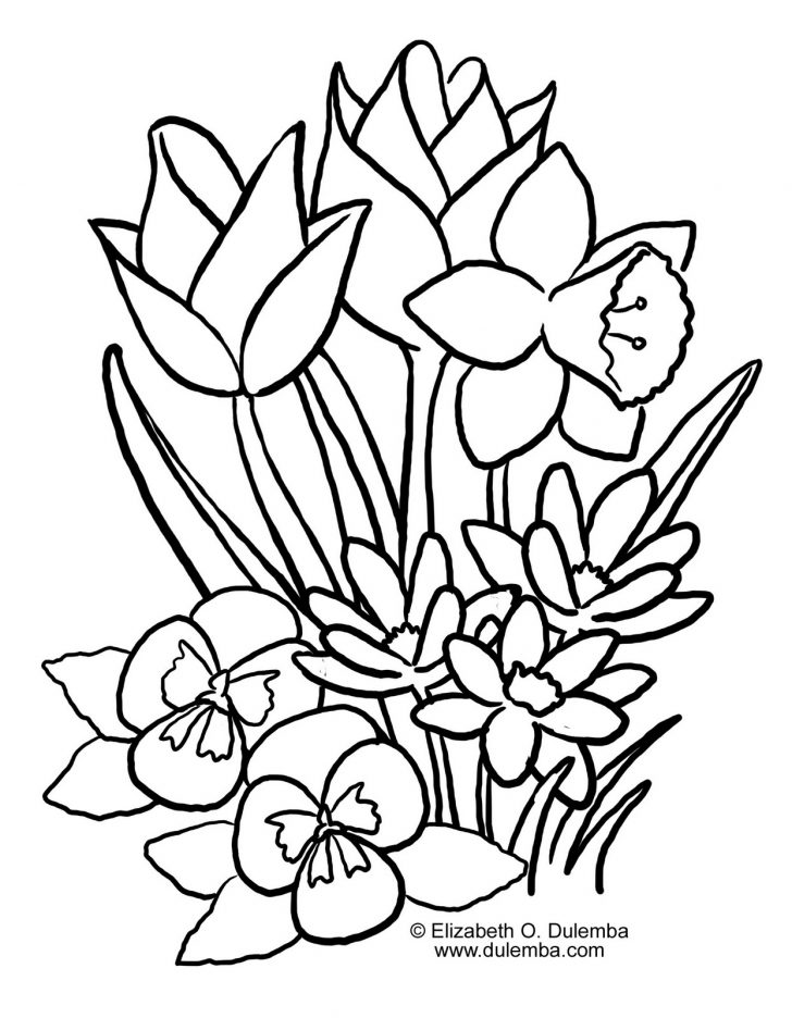 Spring Flowers Coloring Pages Spring Flowers Coloring Pages Flower Outline And Print Diagnostic Spring Flowers Coloring Pages Spring Flowers Coloring Pages Flower Outline And Print Diagnostic
