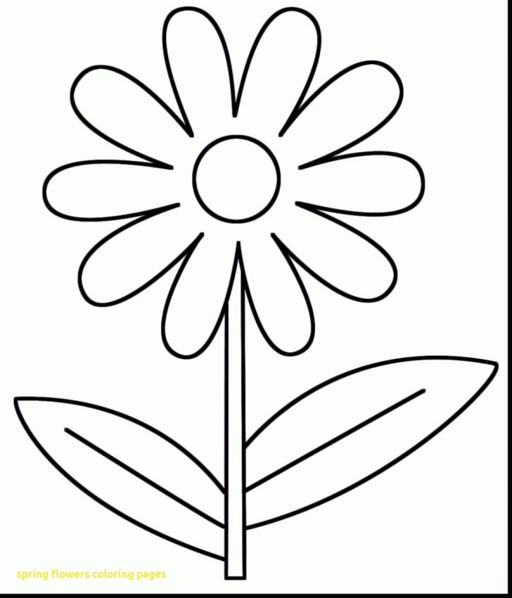 Spring Flowers Coloring Pages Spring Flowers Coloring Pages For Adults Printable Coloring Page Spring Flowers Coloring Pages Spring Flowers Coloring Pages For Adults Printable Coloring Page
